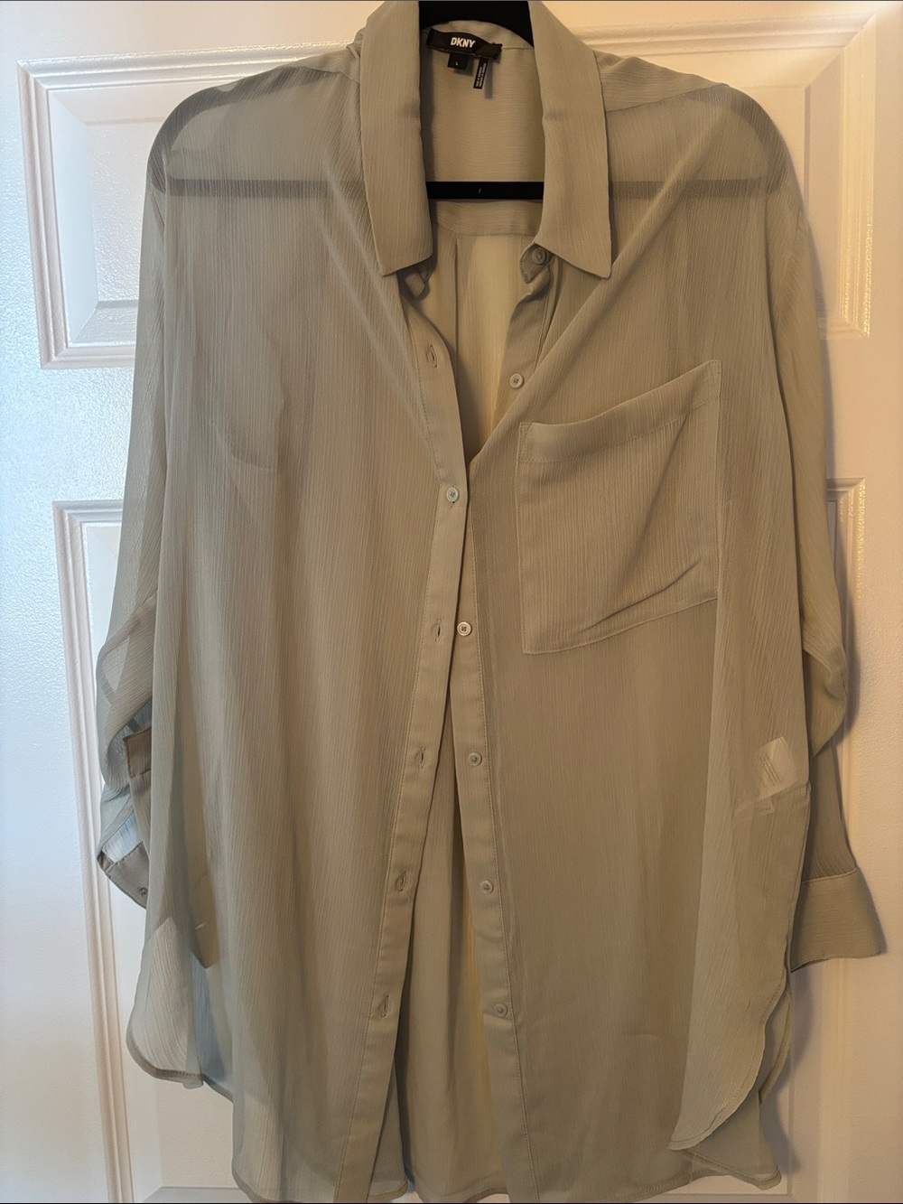Dkny Men's Sheer Button-Down Shirt in Sage Green